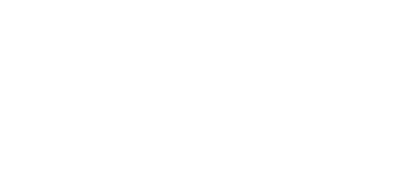 Punkin Studio logo